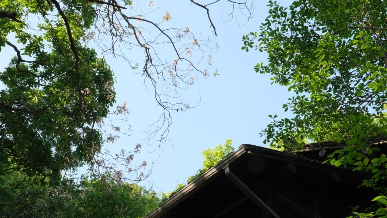 Ferienwohnung Rock&Wood Cozy House Hangzhou Exterior foto